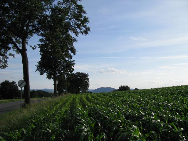 Blick zum Pöhlberg von der Höhe bei Großrückerswalde