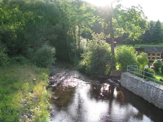 Im Tal von Großrückerswalde