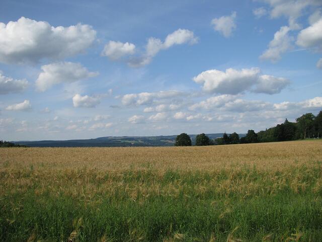 ...in der Nähe von Ansprung