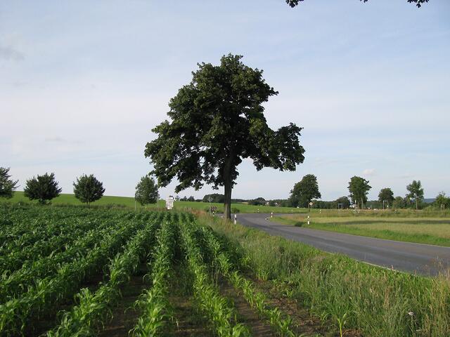 Landstraße von Marienberg nach Großrückerswalde