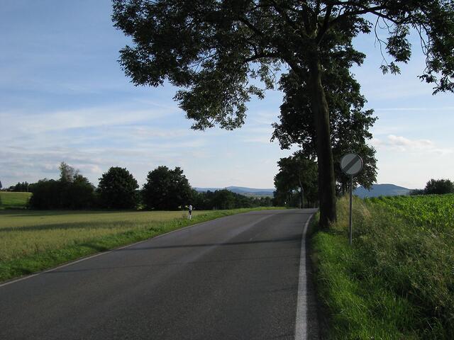 Blick zum zum oberen Erzgebirge von der Höhe bei Großrückerswalde