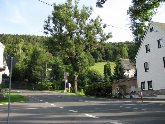 Ganz unten in Großrückerswalde