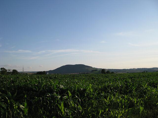Blick zum Pöhlberg von Mauersberg aus
