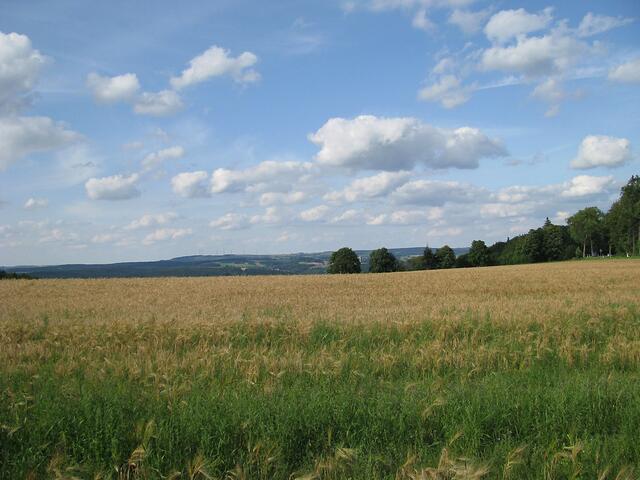 ...und Getreidefelder...