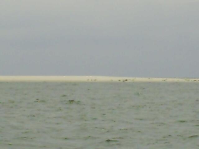 Blick zu den Seehundsbänken