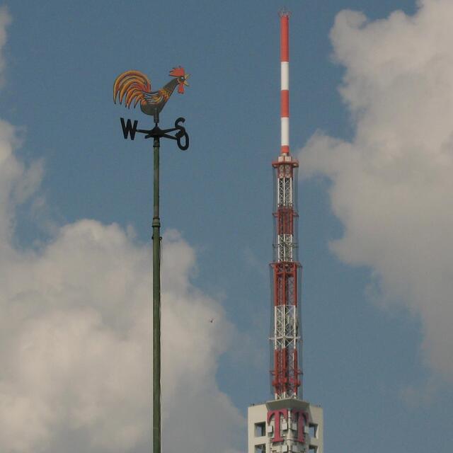 Läßt der Wind den Gockel drehen, kann der den Telemax erspähen!