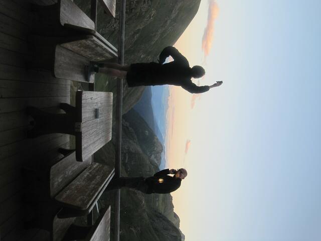 Verzweifelte Netzsuche