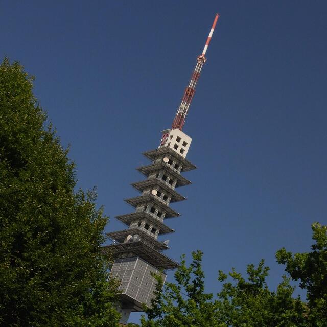 Stürzt der Telemax? Keine Sorge - hier wankte nur der Fotograf