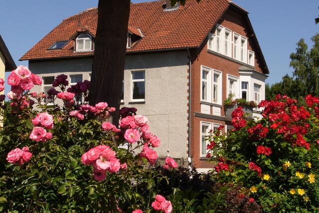 Wohnen hinter Rosen: Lebt hier Dornröschen? - Motiv an der Roderbruchstraße in Hannover-Groß-Buchholz