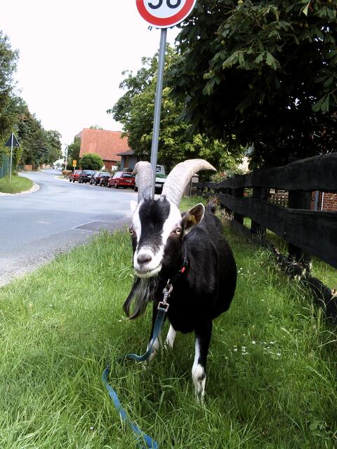 Dreißig!!! Verstanden????