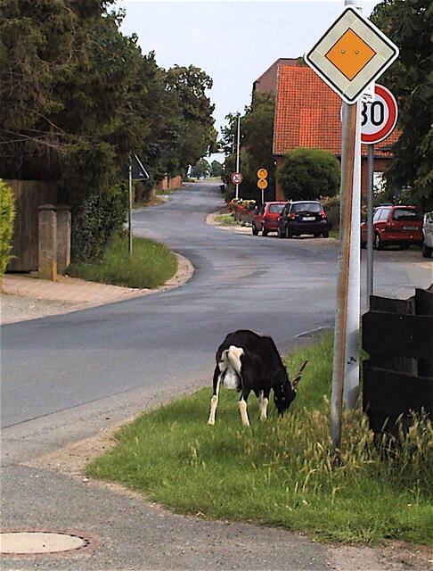 Wir haben hier Vorfahrt - äh - Vorgang