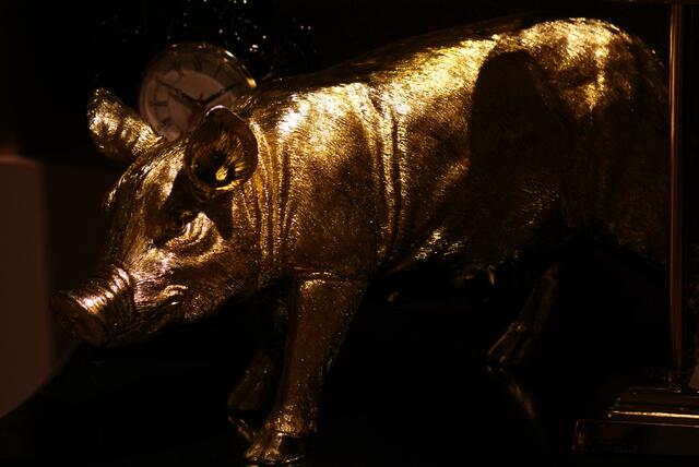 Endlich gefunden: das Goldschwein