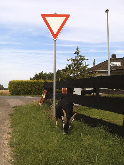 Daher bitte immer Vorfahrt/-gang achten - vielen Dank! :-)