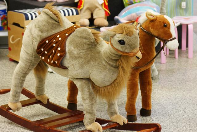 Tierhaltung im Kinderzimmer
