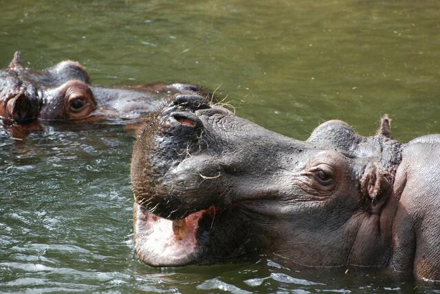 trautes zwiegespräch