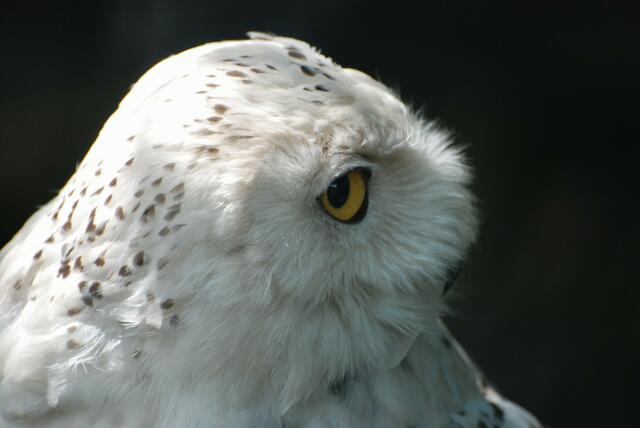 Manchmal möchte man sich abwenden.