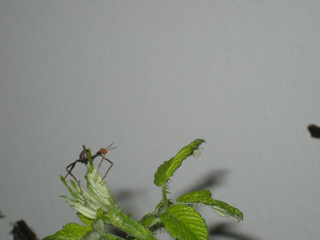 und hier noch ein "Vorher"-Bild