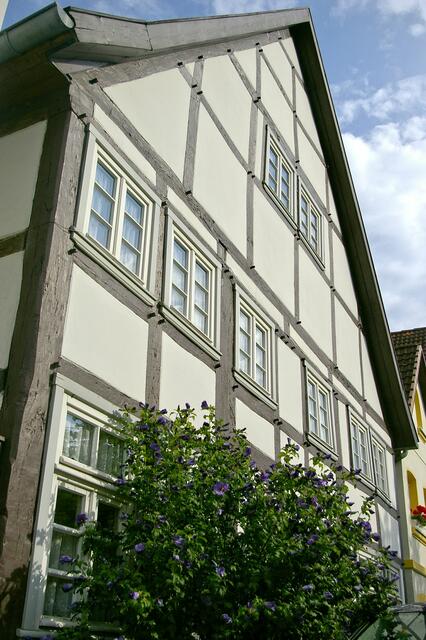 Fachwerk mit Buschwerk