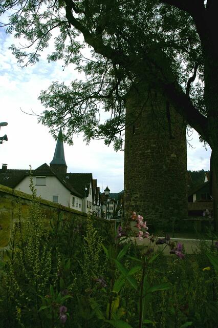 Blick zurück zur Stadt