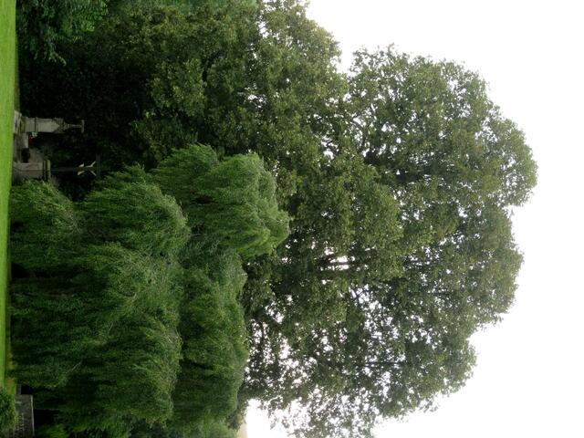 von der Kirchenseite aus