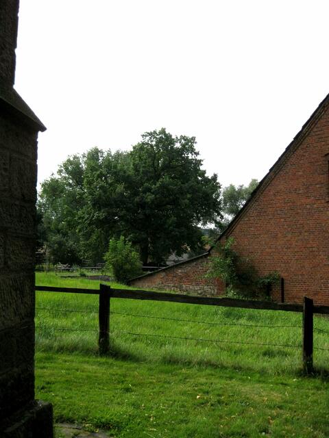 ein mächtiger Baum hinter dem Bauernhof seitlich der Kapelle