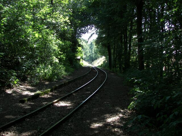 VILSER HOLZ -- die Station wo sich Fuchs und Hase zum Kaffee treffen!