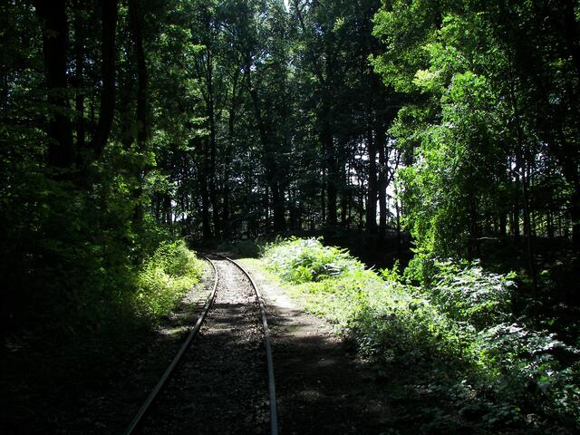 genau hinsehen, schon wieder ein Verkehrszeichen!