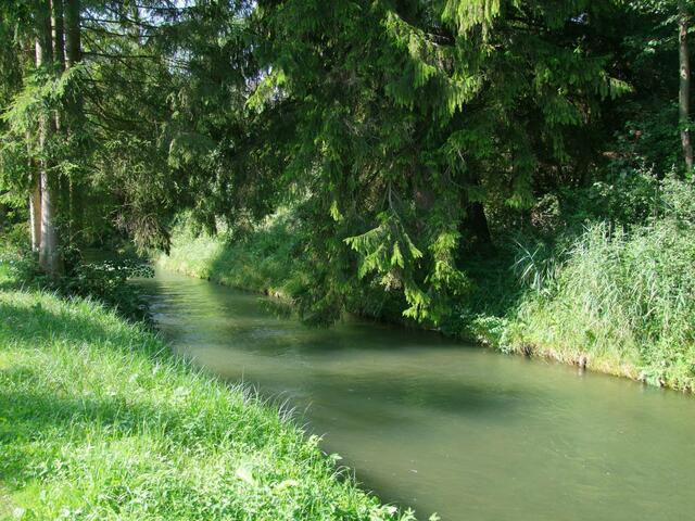Hier fließt er gemächlich ...