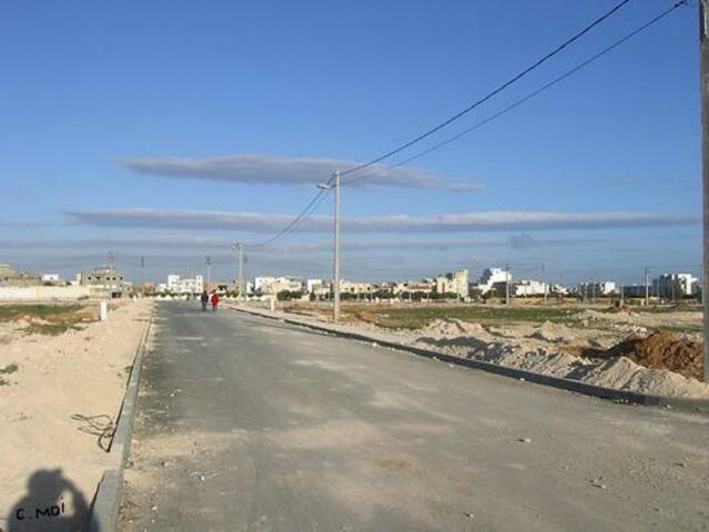 The Road back home