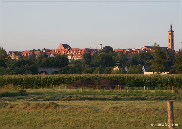 mein goldenes Friedberg