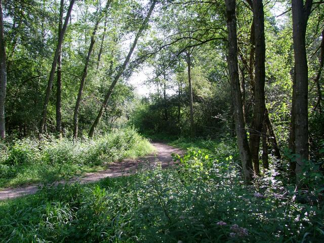 Verschlungene Pfade am Lochbach ...