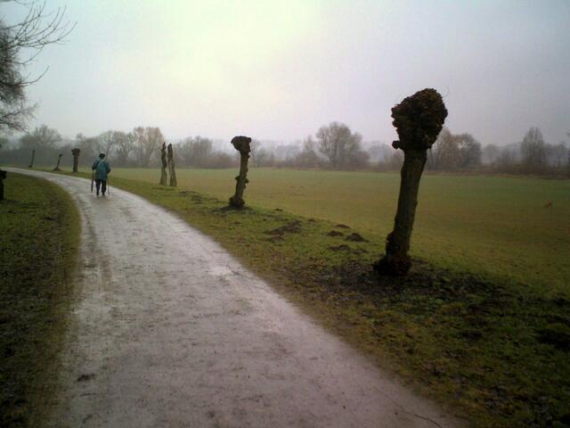 Einsame Spaziergängerin in den Leineauen bei Seelze.