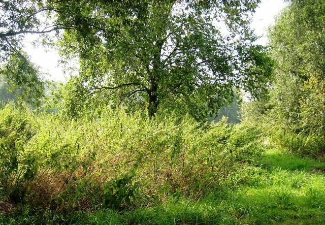 ... und wir "brennen" darauf, einen Schatz zu finden ...