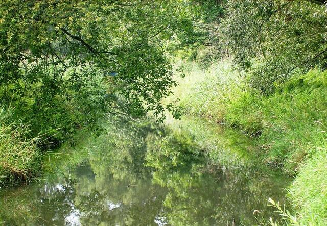 ... sie sind wahrscheinlich im Moor versunken, denn so still dieses Wasser aussieht, ...