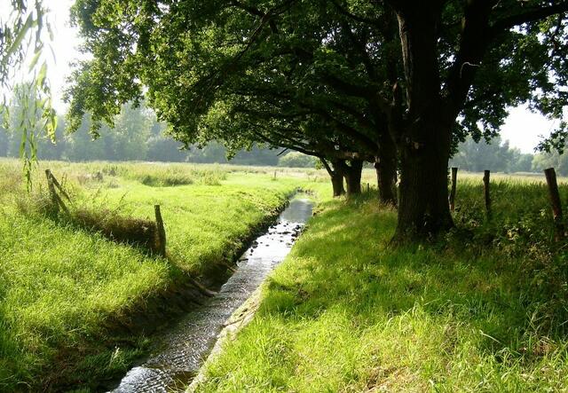 Puh, Glück gehabt - bei Lichte betrachtet ist das Moor gar nicht so schlimm ... ;o))