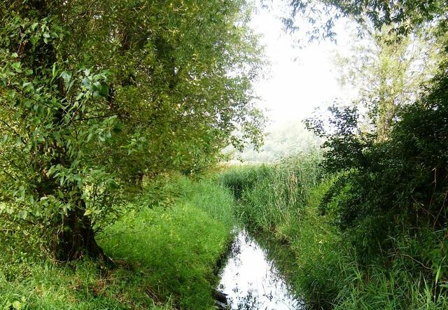 Entlang den Ufern des großen "Sees" ...