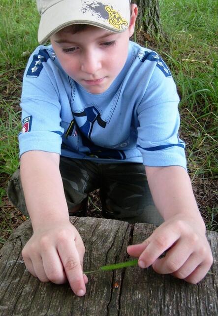 Eine erste Lagebesprechung wird nötig: "Onkel Kai, wir müssen da lang ..."