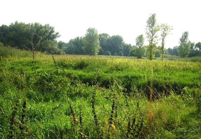 "Onkel Kahai - Onkel Kahai ... träumst Du etwa? ..."