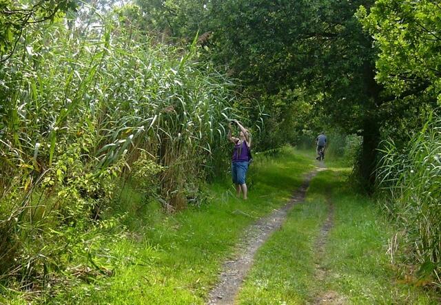 Es gibt scheinbar keinen Weg hinein ...