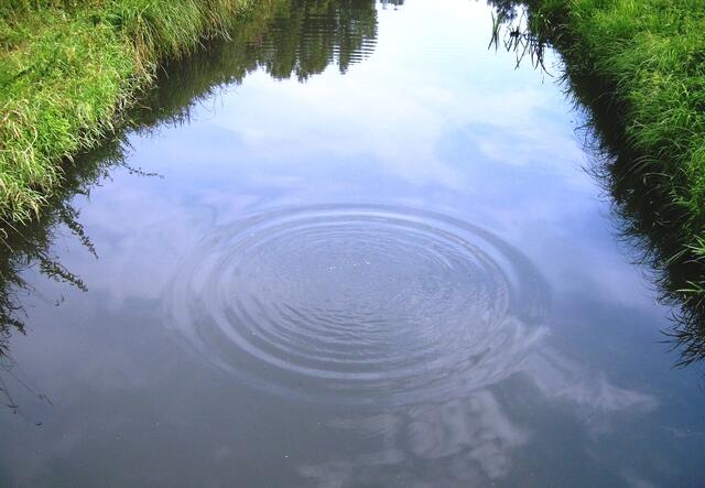 ... sonst wird man einfach hineingezogen ... ins gräuliche Tief ...
