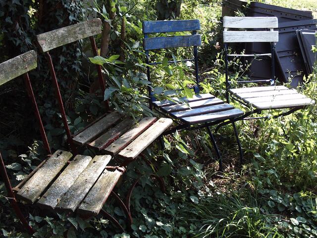 Wartezimmer unter alten Obstbäumen