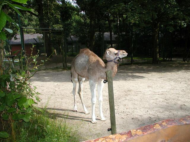 Ein Neuzugang, die Mama ist verstorben nun wird es hier groß gezogen!