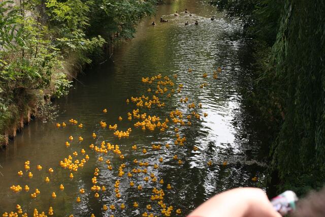 Los Leute, jagd die echten Enten
