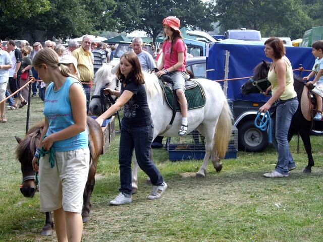 Ponyreiten