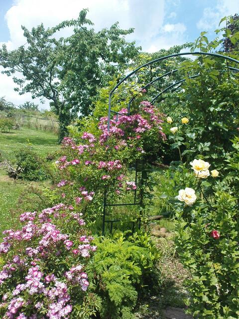 obere Gartenbereich