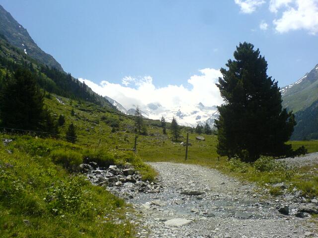 Zunehmend wird es wilder und karger