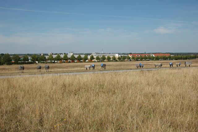 Kunstobjekt Schafe und Kühe