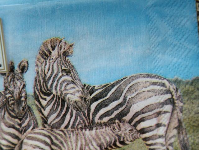 Zebras mögen Blau