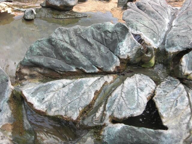 Auch am Blätterbrunnen findet man diese Farbe