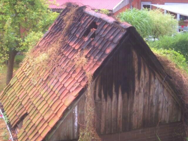 Foto : Andrea Jahn | Foto: Andrea Jahn